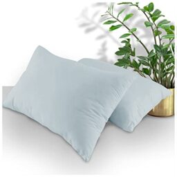 Ulta Soft Plain Pillow Case 2 Pack, Breathable Washable Bedding Pillow Set, Plain Dyed Housewife Pillowcases, Sky Blue, 74X48 Cm