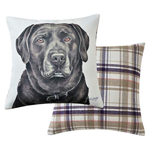 Viceni Maturi Chocolate Labrador Filled Dog Cushion-43 x 43cm / 17 x 17-inch, Multi-Coloured, 43 x 43cm