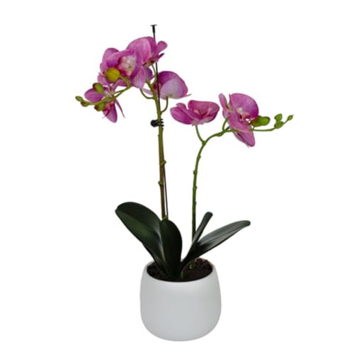 Elegant Double Stem Purple Real Touch Artificial Potted Orchid (46cm) In Round White Ceramic Pot