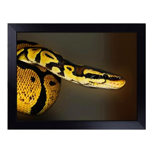 Lap Tray with Bean Bag Cushion, Python Snake Art - Handmade in the UK, Raised Wooden Edge, Padded Cushion, Heat-Resistant Wipe-Clean Surface, for Meals, Laptops and Crafts
