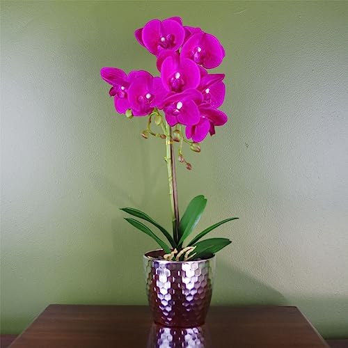 Botanik Realistic Artificial Orchid Plants Fully Potted