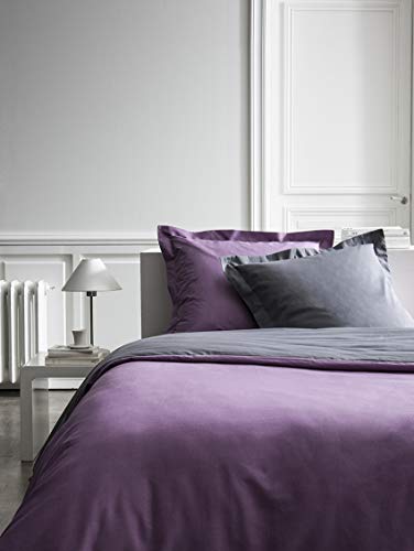 TODAY 017125 Premium Pillowcase Cotton 75 x 75 cm, Cotton, Fig, 75x75 cm