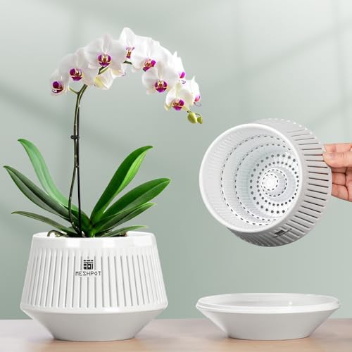 Meshpot 5 inch Orchid Pots with Holes for Repotting with Excellent Airflow and No Leaking, Set of 2, Decorative Orchid Planter with Air-Pruning, Plastic White Orchid Container with Saucers