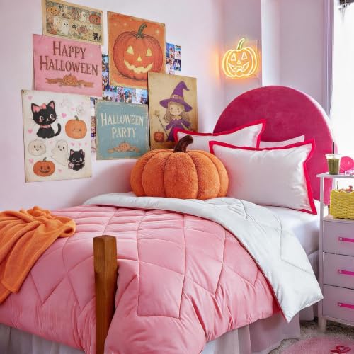 Seward Park Twin XL Size Pink Beige White Comforter, All Season Soft Reversible Dorm Bedding, Cooling Lightweight Fall Blanket, Girls Kids Bedspread