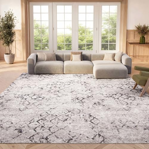 Safavieh Distressed Rug for Living Room, Dining Room, Bedroom - Amelia Collection, Short Pile, in Grey and Light Grey, 240 X 300 cm