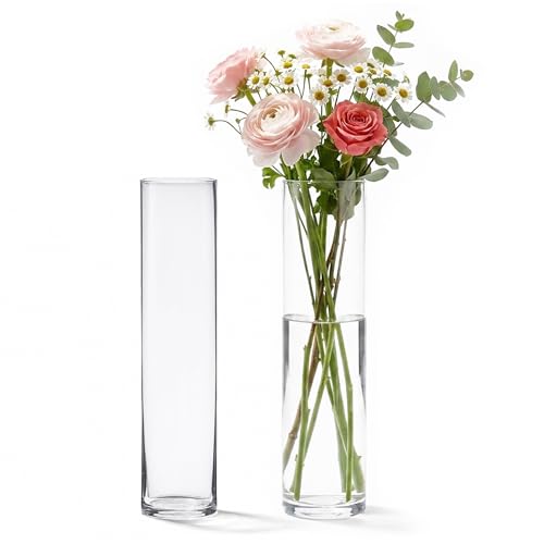 "16"" Tall Cylinder Glass Vase, 3.5"" Wide - Clear Glass Vase for Centerpiece, Floor Vase, Flowers, Candle Holder, Wedding Table Decor by 4E's Novelty"