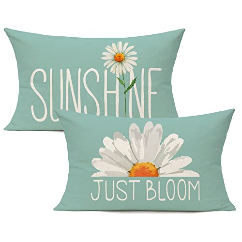 All Smiles Light Blue 12x20 Lumbar Throw Pillow Covers Set of 2 Outdoor Spring Summer Decorative Cushion Cases Home D??cor Decorations for Patio Couch Chair Sofa,Daisy Floral Gnomes