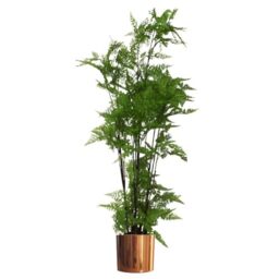 Leaf Tropical Artificial Plants with Planters