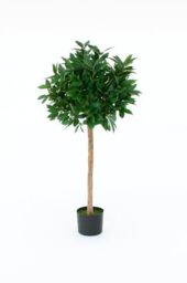 Artificial Bay Trees, Topiary Faux Tree, Premium Quality Real Wood Trunk and Natural Appearance Leaves and Brown Berries, UV Protected, Indoor and Outdoor Use