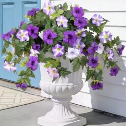 Artificial Fake Flowers Plants for Outdoor Decoration, 2PCS Faux Petunias Silk Flower UV Resistant No Fade Floral for Home Outside Garden Balcony Yard Porch Realistic Indoor Decor (Purple White)