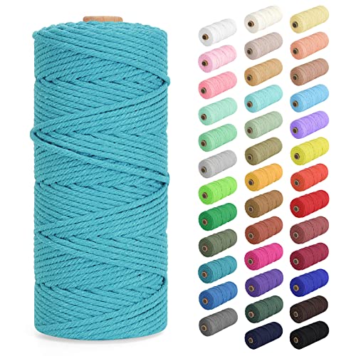 Macrame Cord 2mm x 220Yards (656Feet), Natural Cotton Macrame Rope - 2 Strands Twisted Macrame Cotton Cord for Wall Hanging, Plant Hangers, Crafts, Gift Wrapping and Wedding Decorations, Lake Green