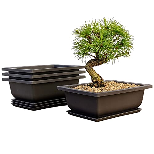 BONSAIOUTLET Training Pots with Humidity Trays - Built in Mesh, Six Inch Large Planters + Made from Durable Shatter Proof Poly-Resin, Set of 3 Pot Set???