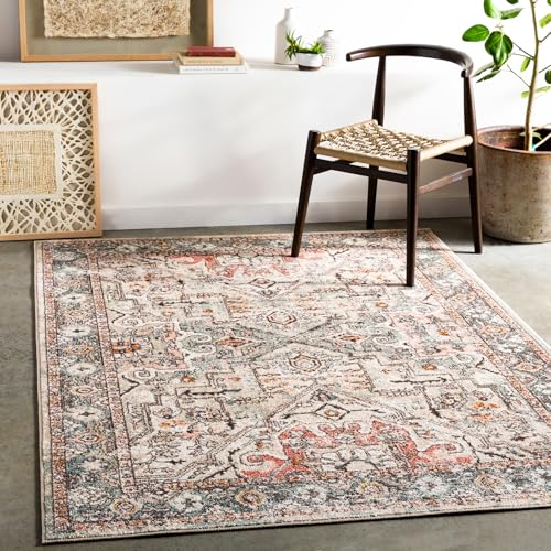 Livabliss Khasab Vintage Rug - Area Rugs Living Room 140x200 cm, Dining Floor, Kitchen, Traditional Multicoloured Boho Style, Easy Care Pile, Bohemian Large Rug, Rust, Charcoal, Dusty Pink
