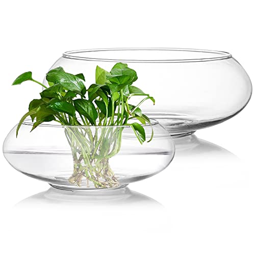 "ZENFUN Set of 2 Glass Vase Bowl, 6""/15CM, 8""/20,5CM Wide Mouth Flower Vase Round Terrarium, Glass Hydroponic Planter Floral Container Clear Fish Bowl for Table Centerpiece, Home Decoration"