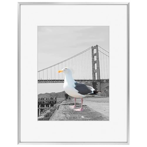 Frametory, 16x20 Aluminum Photo Frame with Ivory Color Mat for 11x14 Picture & Real Glass, Metal Picture Frame Collection (Silver, 1-Pack)