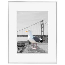 Frametory, 16x20 Aluminum Photo Frame with Ivory Color Mat for 11x14 Picture & Real Glass, Metal Picture Frame Collection (Silver, 1-Pack)