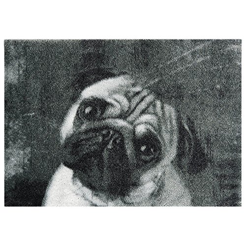 Mint Rugs 102844 _ 50x70 Statement Mat Pug, Black/Grey, 70 x 50 x 0.7 cm