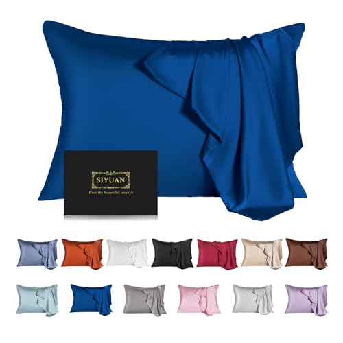 Mulberry Silk Pillowcase for Hair and Skin,Standard Size Cooling Silk Pillow Case with Hidden Zipper,Allergen Proof Dual Sides Soft Breathable Smooth Silk Pillow Cover for Women(Standard,Gem Blue)