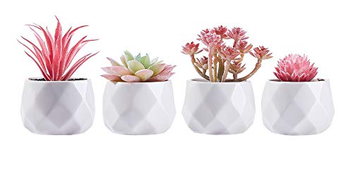 CADNLY Small Fake Desk Plant ??? Pink Desk Decor for Women - Artificial Succulent Plants - Faux Succulents in White Ceramic Pots ??? Mini Pink Succulent Decor for Bedroom Bathroom Bookshelf Office