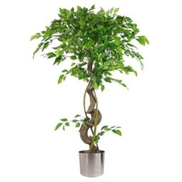 120cm Twisted Trunk Artificial Japanese Fruticosa Style Ficus Tree Silver Planter