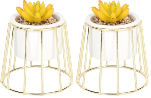 Sleepdown Halo Ochre Succulent Artificial Faux Plant Gold Cage Stand for Home Office Bathroom Decor Indoor Decoration Aesthetics, Small (Pack of 2)