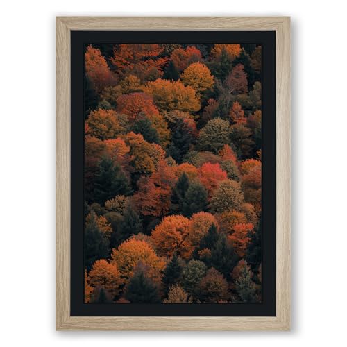 Autumn Canopy Landscape Framed Wall Art Print A3 (42×29.7cm) Oak, Wall Decor for Living Room, Bedroom, Office & Home, Ready to Hang, Art Gift