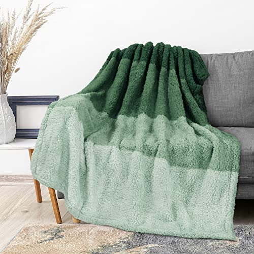 PAVILIA Fluffy Sherpa Throw Blanket Ombre - Gradient Plush, Soft, Fuzzy, Decorative Accent Throw Blanket for Couch Sofa Bed - Cozy Warm Decorative Furry Faux Fur Blanket, 50x60 Inches Green