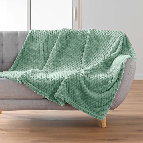 Douceur d'Intérieur, 125 x 150 cm Mini Frosty Sage Flannel Relief Blanket Plain