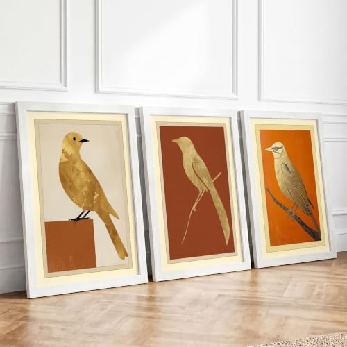 Perched Bird Studies Botanical Set of 3 Framed Wall Art Prints A4