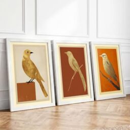 Perched Bird Studies Botanical Set of 3 Framed Wall Art Prints A4