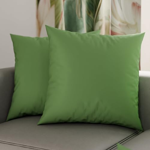 PETTI Artigiani Italiani - Pair of Pillow Cases 60 x 60 cm in Microfibre, Pillows for Bedroom Furniture, Sofa, Set of 2 Cushion Covers, Solid Colour Pillowcase Olive Green