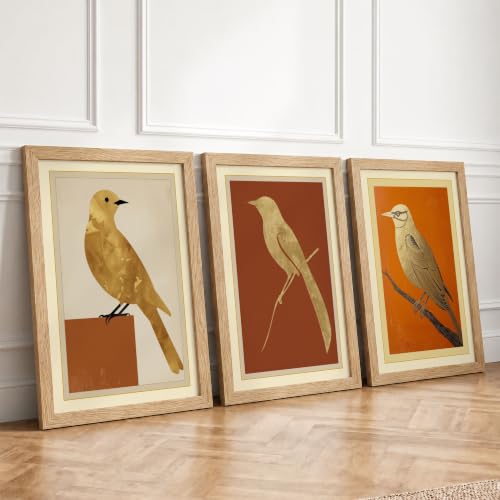 Perched Bird Studies Botanical Set of 3 Framed Wall Art Prints A3