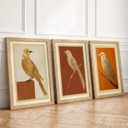 Perched Bird Studies Botanical Set of 3 Framed Wall Art Prints A3