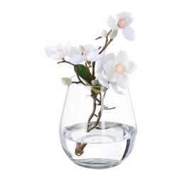 Relaxdays Glass Vase, for Flowers, Tall Tulip Holder, for Bouquets, Table Centrepiece, HxD: 16 x 14 cm, Transparent