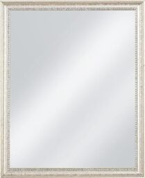 Frame Company Beatrice Silver Ornate Wooden Mirror 16x12 inch