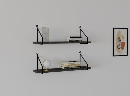 Hanah Home Modern Wall Shelf (2 Pieces), Anthracite, 60 x 12 cm, 100% Melamine Coated Particle Board, 18 mm Thick, Stylish & Functional for Industrial Spaces