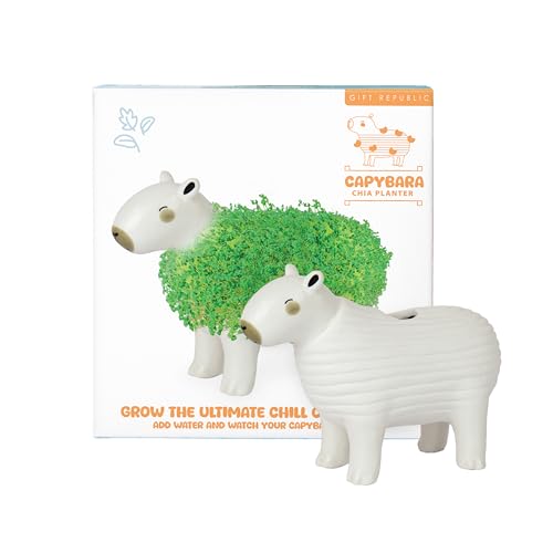 Gift Republic Chia Planter, Ceramic, White, Medium