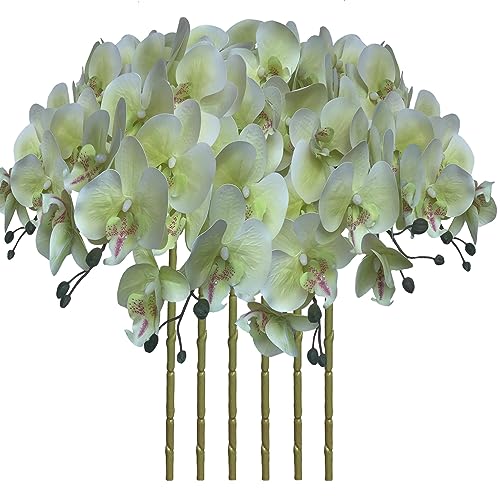 FagusHome 32 Inch Artificial Phalaenopsis Flowers 6 Pcs Artificial Orchid Flowers Stem Plants for Home D??cor (Light Green)