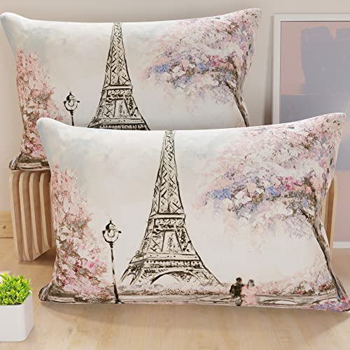 PETTI Artigiani Italiani - Pair of Pillow Cases 40 x 60 cm in Microfibre, Cushions for Bedroom Furniture, Sofa, Living Room, Set of 2 Cushion Covers, Paris Pillowcase, 100% Made in Italy