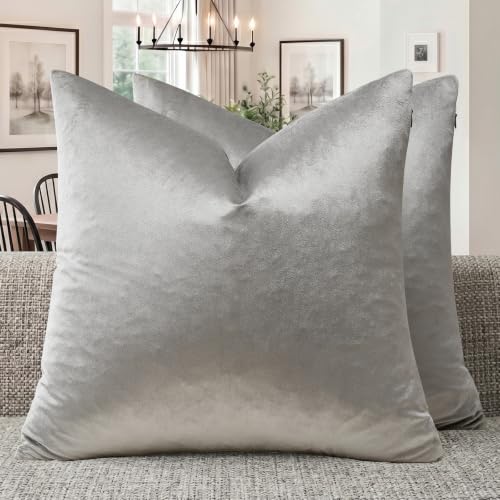 GIGIZAZA Silver Grey Velvet Decorative Throw Pillow Covers for Sofa Bed 2 Pack Soft Cushion Cover (Silver Grey, 20 x 20- Set of 2)