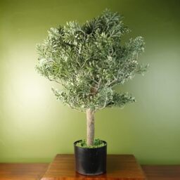 Leaf Artificial Artemisa Evergreen Shrub Plant