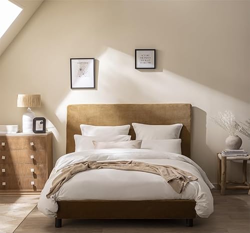 Plain Cotton Flannel Duvet Cover, Frisson, 240 x 220 cm, ESSIX