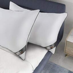 BedStory Pillow 60 x 60 cm Pack of 2, Anti-Dust Mite, Anti-Sweat, Hypoallergenic, 100% Polyester Fibre Filling Pillow, Ultra Comfort Soft and Excellent Support