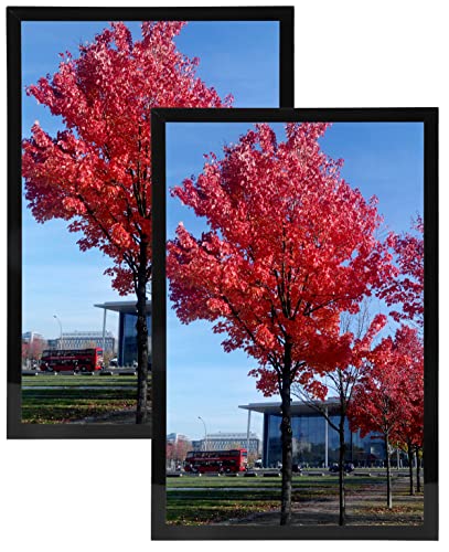 Medog 20x30 Poster Frame Black, Display Pictures 20x30 Picture Frame, Studio Gallery Frame, Wall Schools Colleges Sign Frame, 2 Pack