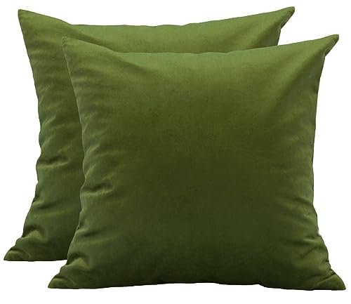 TangDepot Pack of 2 Solid Velvet Throw Pillow Covers, Cushion Shams, Super Luxury Soft Pillow Cases, Square Pillow Shells - (16x16 Inch 2 Pieces, Kiwi)