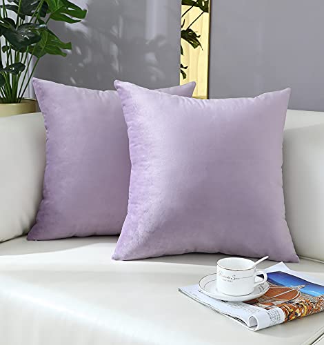 mixeoo Comfy Lavender Throw Pillow Covers Decorative Square Solid Thick Velvet Super Soft Cushion Cases Home Decor for Sofa Couch Living Room Chair, Set of 2, 18 x 18 Inch