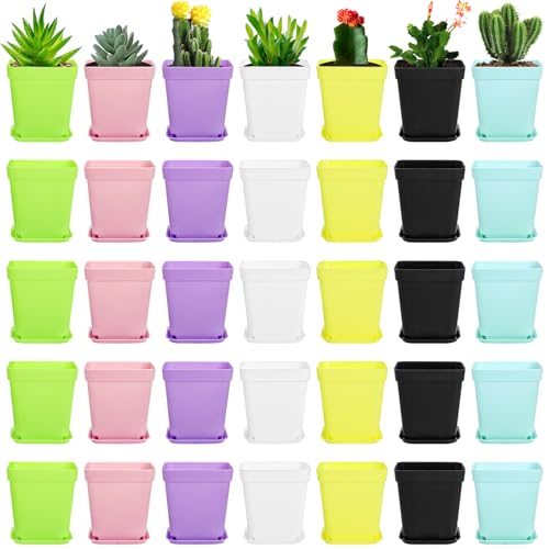 Hedume 70 Pack Colorful Plastic Plant Pot, Mini Square Flower Seedling Nursery Pot with Pallet, Indoor Flower Plant Contai