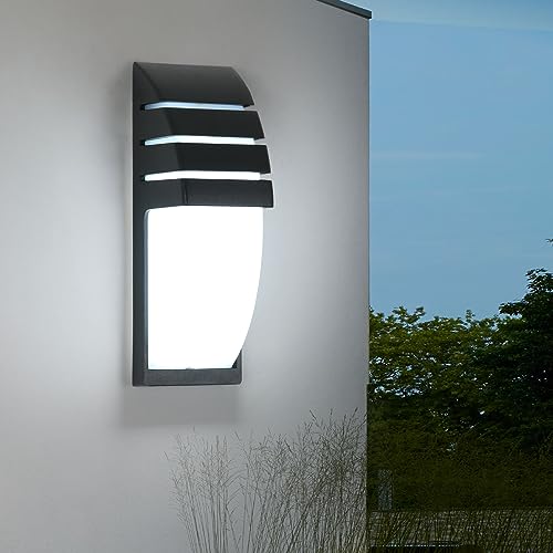 Comely LED Wall Light, 12W Black Outdoor/Indoor Wall Lantern IP65 Waterproof, Aluminum Wall Sconce Lamp Fixtures for Porch Front Door Patio Garden, Cool White 6500K
