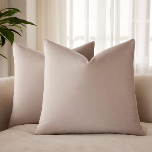 JUSPURBET Champagne Velvet Cushion Covers 71 cm x 71 cm Set of 2 for Living Room Couch Sofa Bedroom Decorative Square Solid Soft Cushion Covers with Invisible Zip