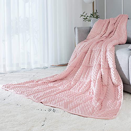 ALANSMA Reversible Weighted Blanket for All Season, Luxury Velvet, Warm and Cool, Adult Kids 7Lb Weighted Blanket, Enjoy Sleeping Anywhere(Pink,7Lb)